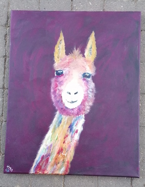 Datei:Alpaca.jpeg